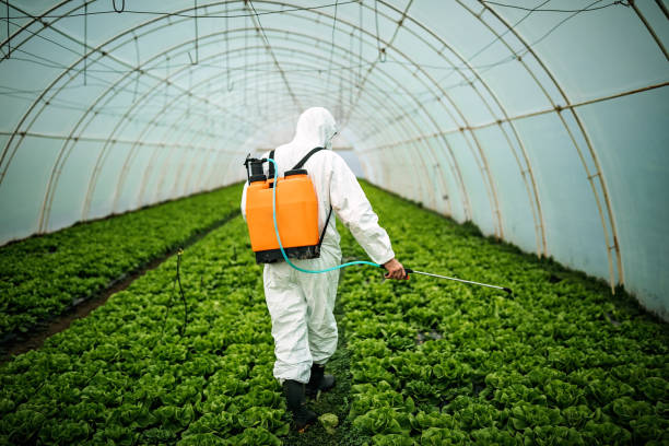 Best Pest Prevention Services  in Jourdanton, TX
