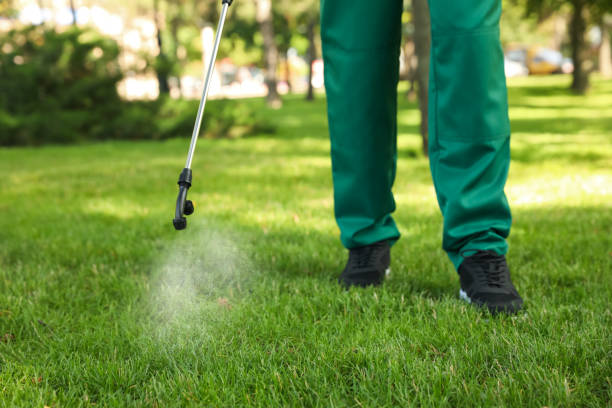 Best Flea Control Services  in Jourdanton, TX