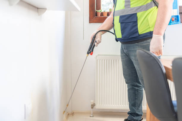 Best Local Pest Control Services  in Jourdanton, TX