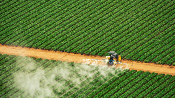 Reliable Jourdanton, TX Pest Control Solutions