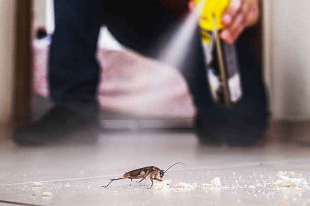 Trusted Jourdanton, TX Pest Control Experts