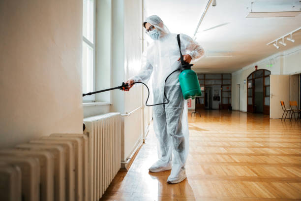 Best Emergency Pest Control  in Jourdanton, TX
