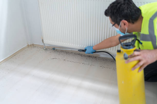 Best Bed Bug Extermination  in Jourdanton, TX