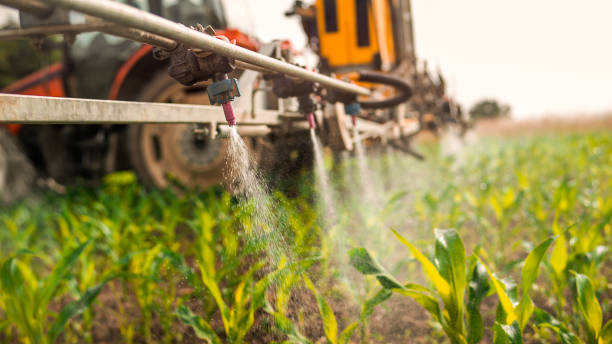 Best Mosquito Control Services  in Jourdanton, TX